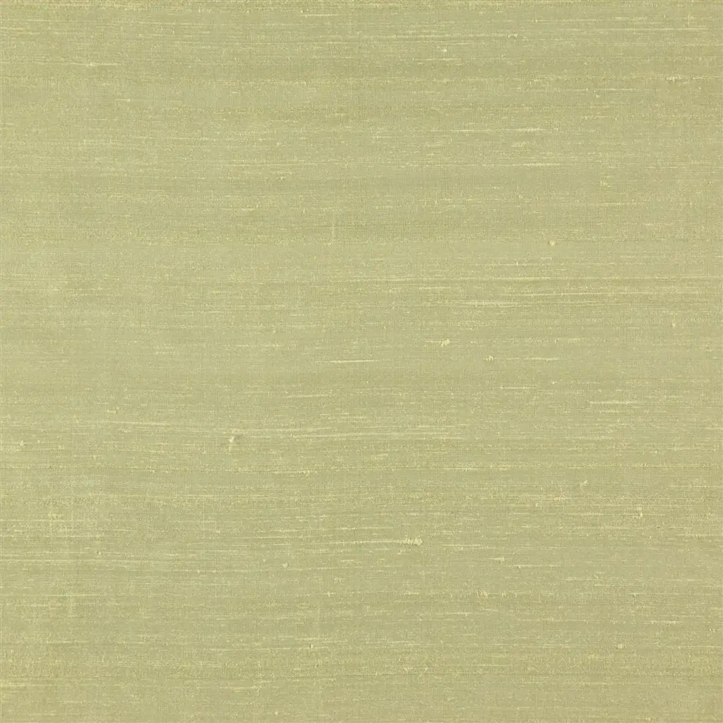 chinon - pistachio