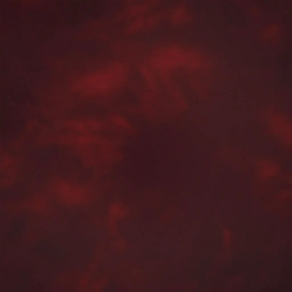 matara lucida - crimson