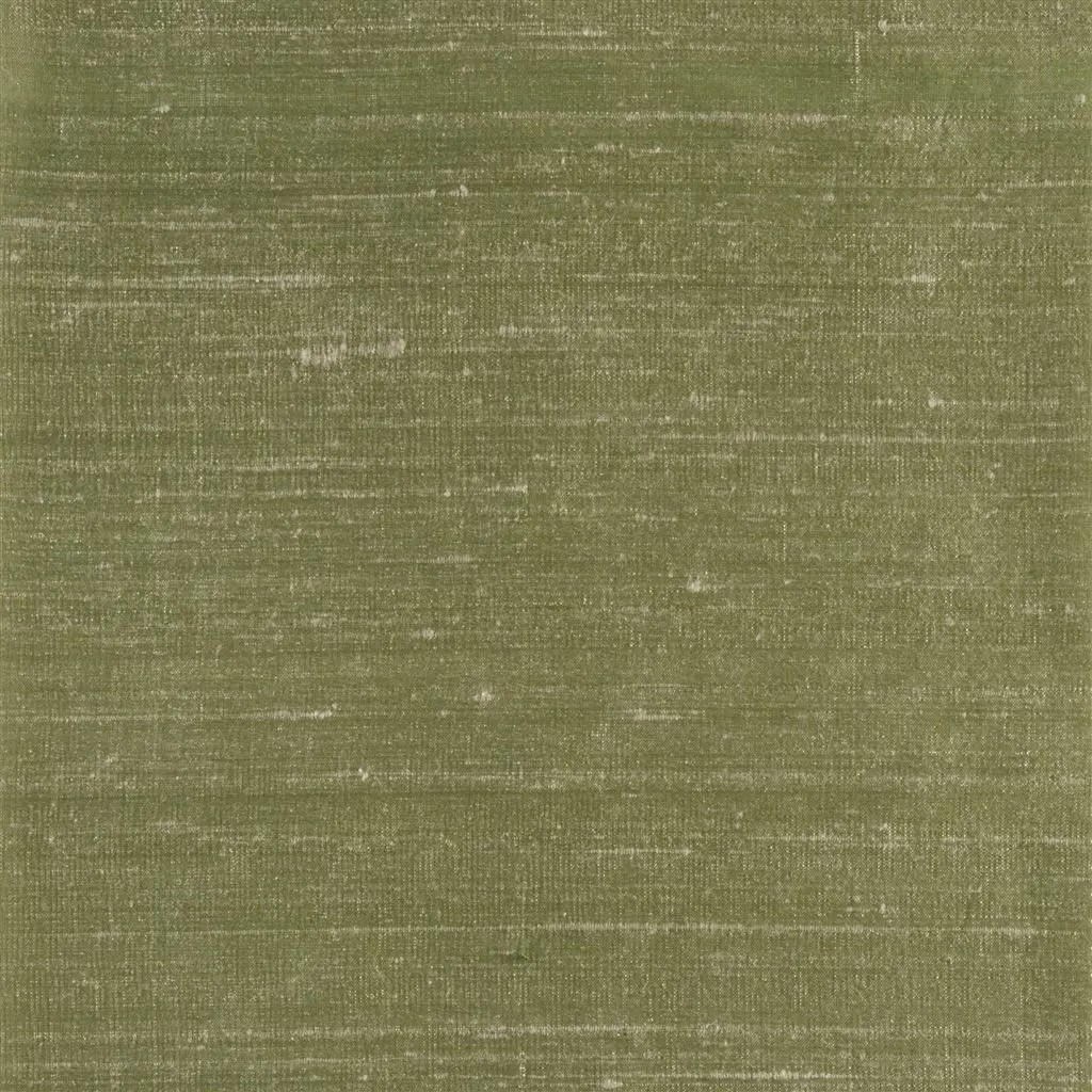 Chinon - Olive - Cutting