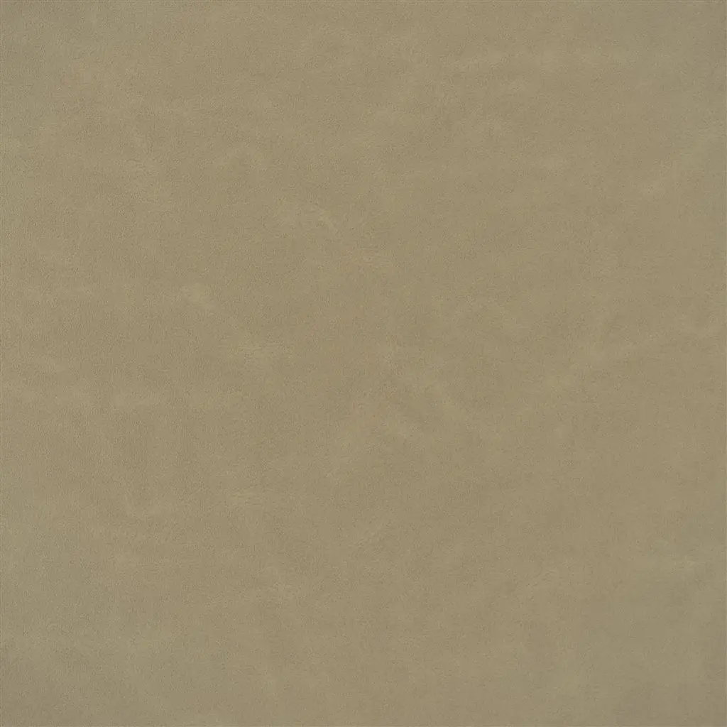 matara lucida - biscuit