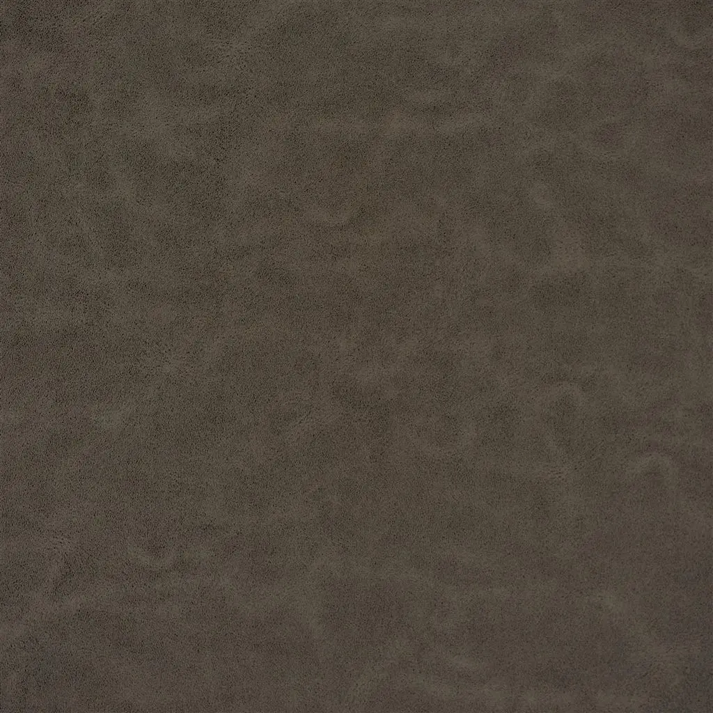 matara lucida - oak