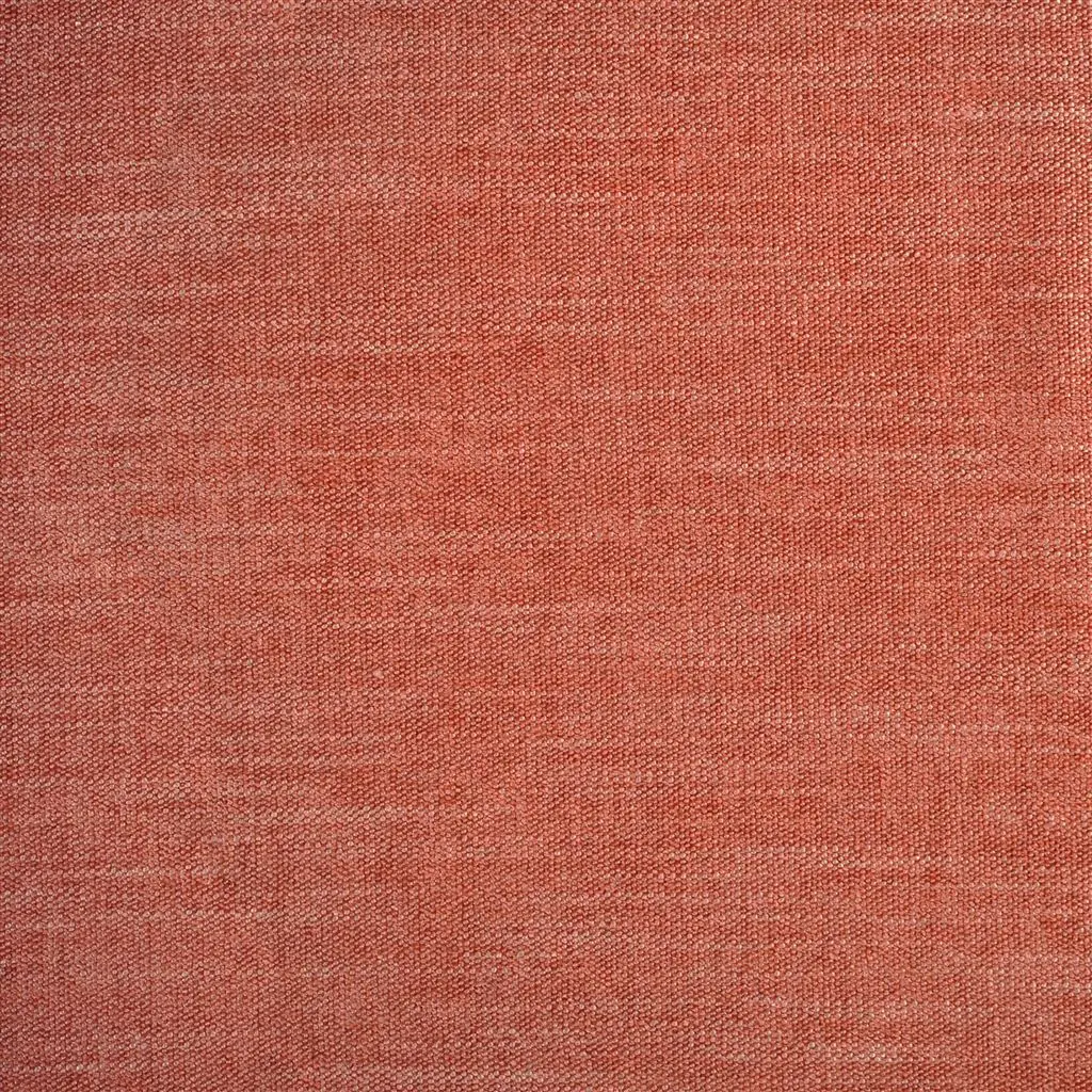 canezza - coral
