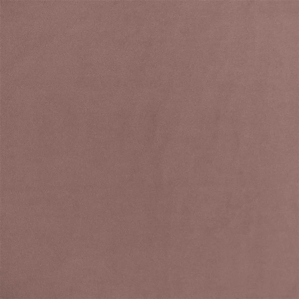 Velluto - Clover Cutting