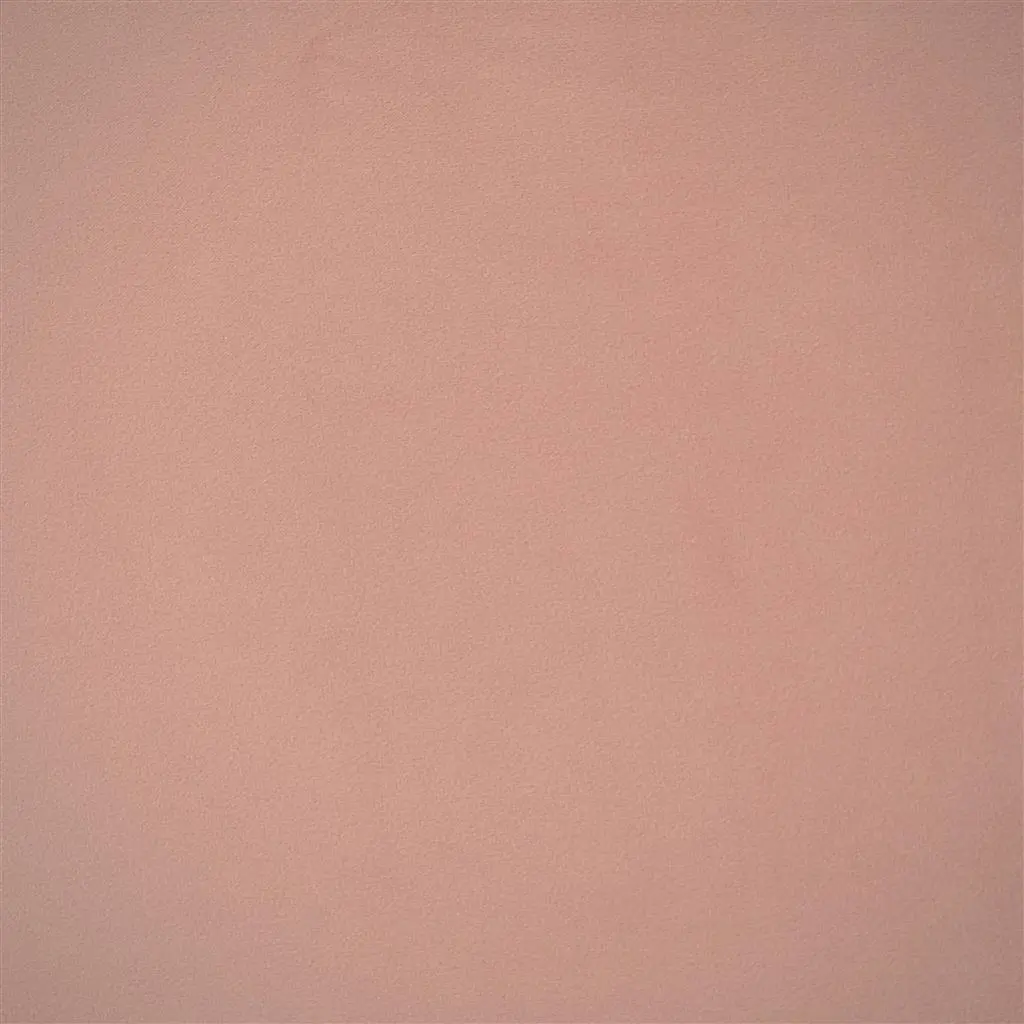 Velluto - Pale Rose Cutting
