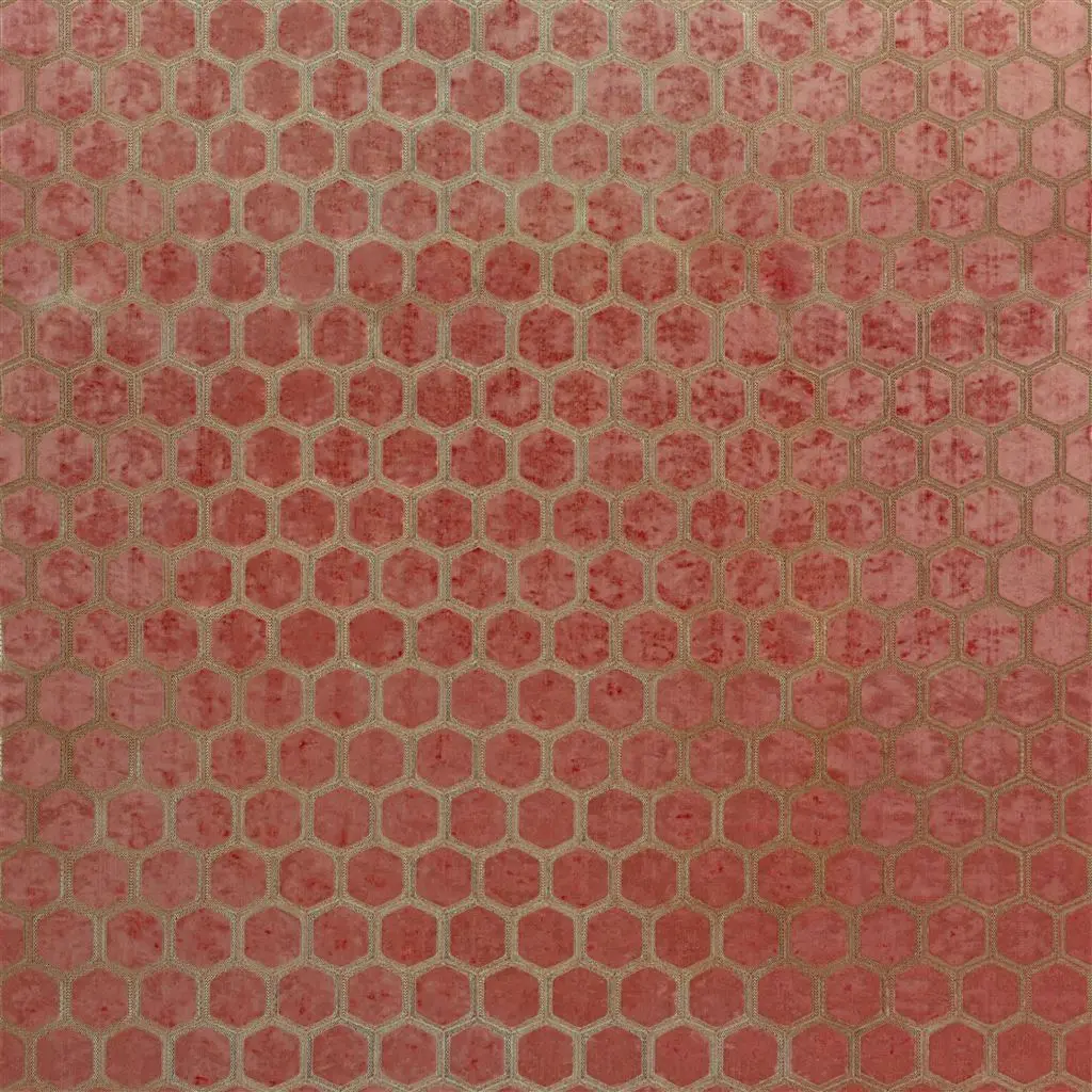 manipur - coral