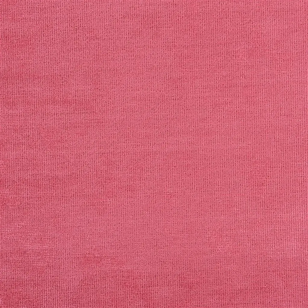 tarazona - peony