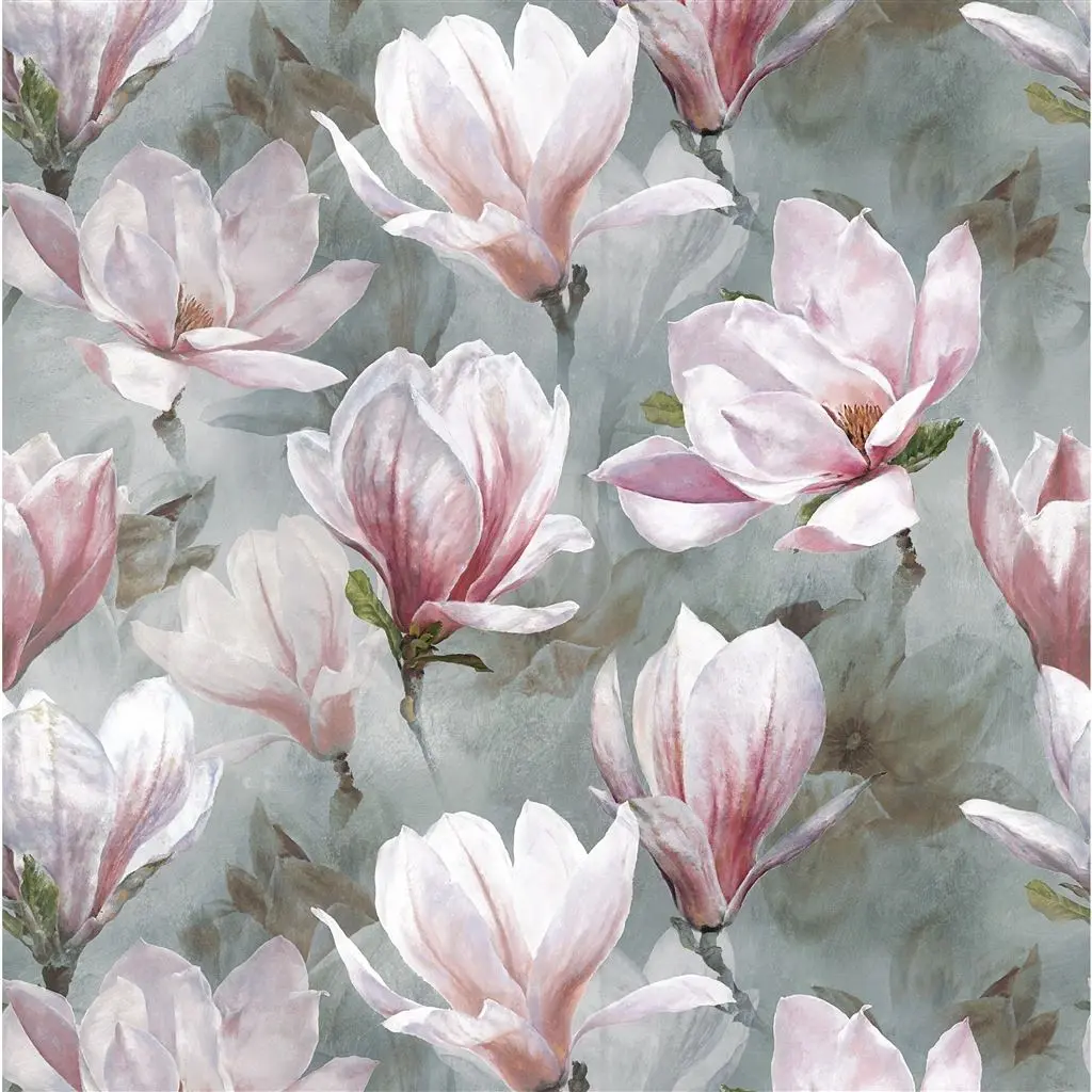 yulan - magnolia