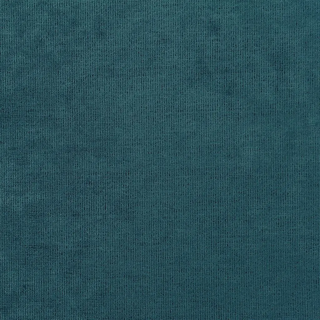tarazona - kingfisher