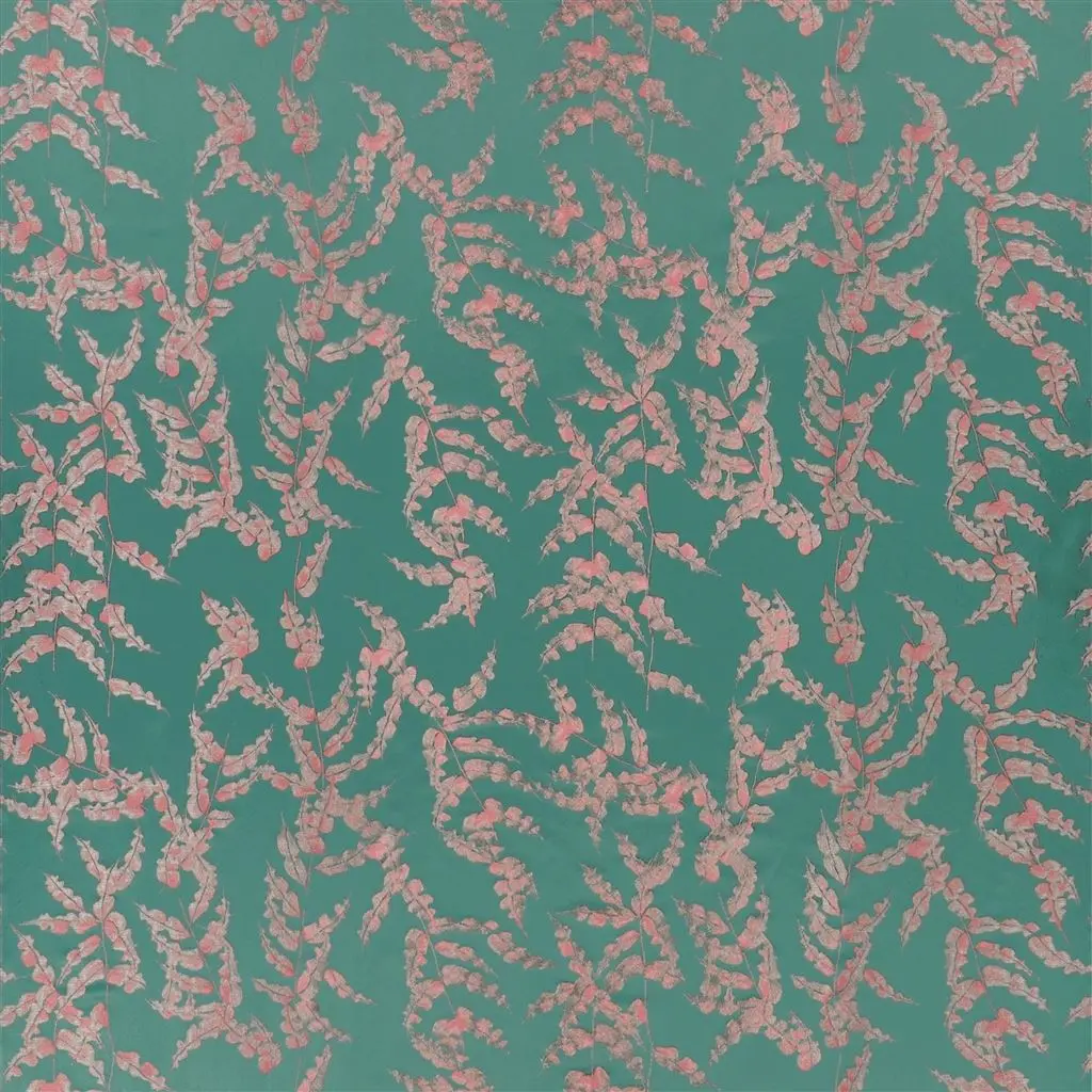 wakame - bourgeon