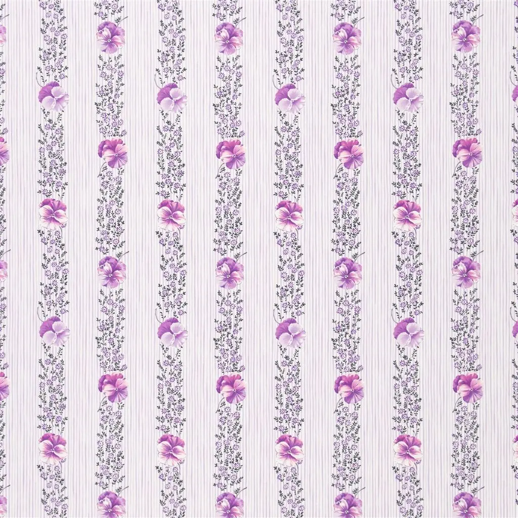 Pansy Stripe - Crocus Cutting