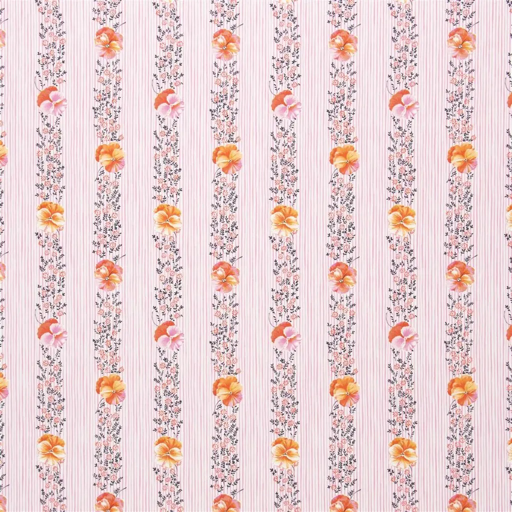 Pansy Stripe - Peony Cutting