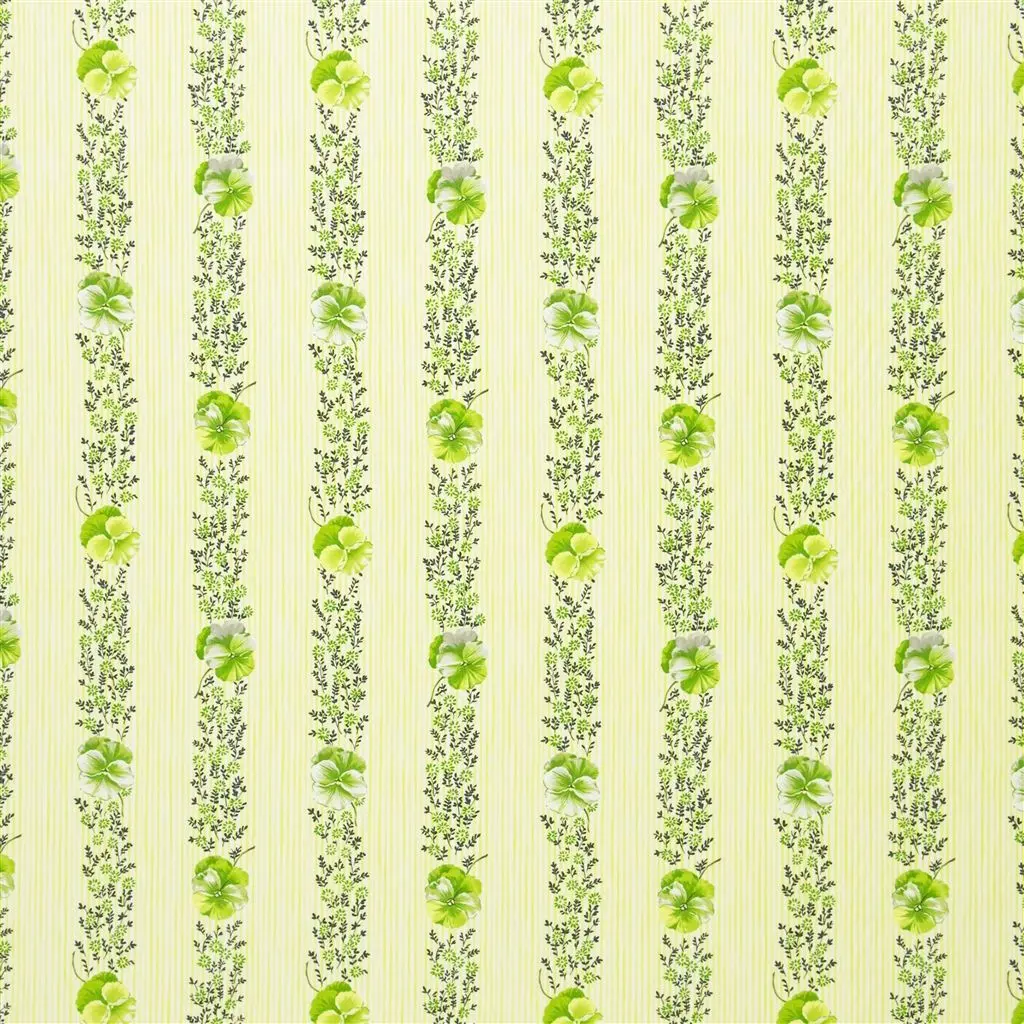 Pansy Stripe - Apple Cutting