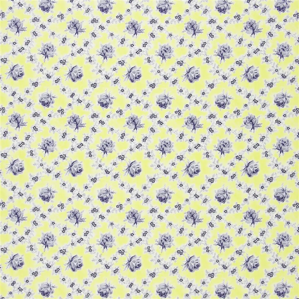 Wild Rose - Primrose Cutting