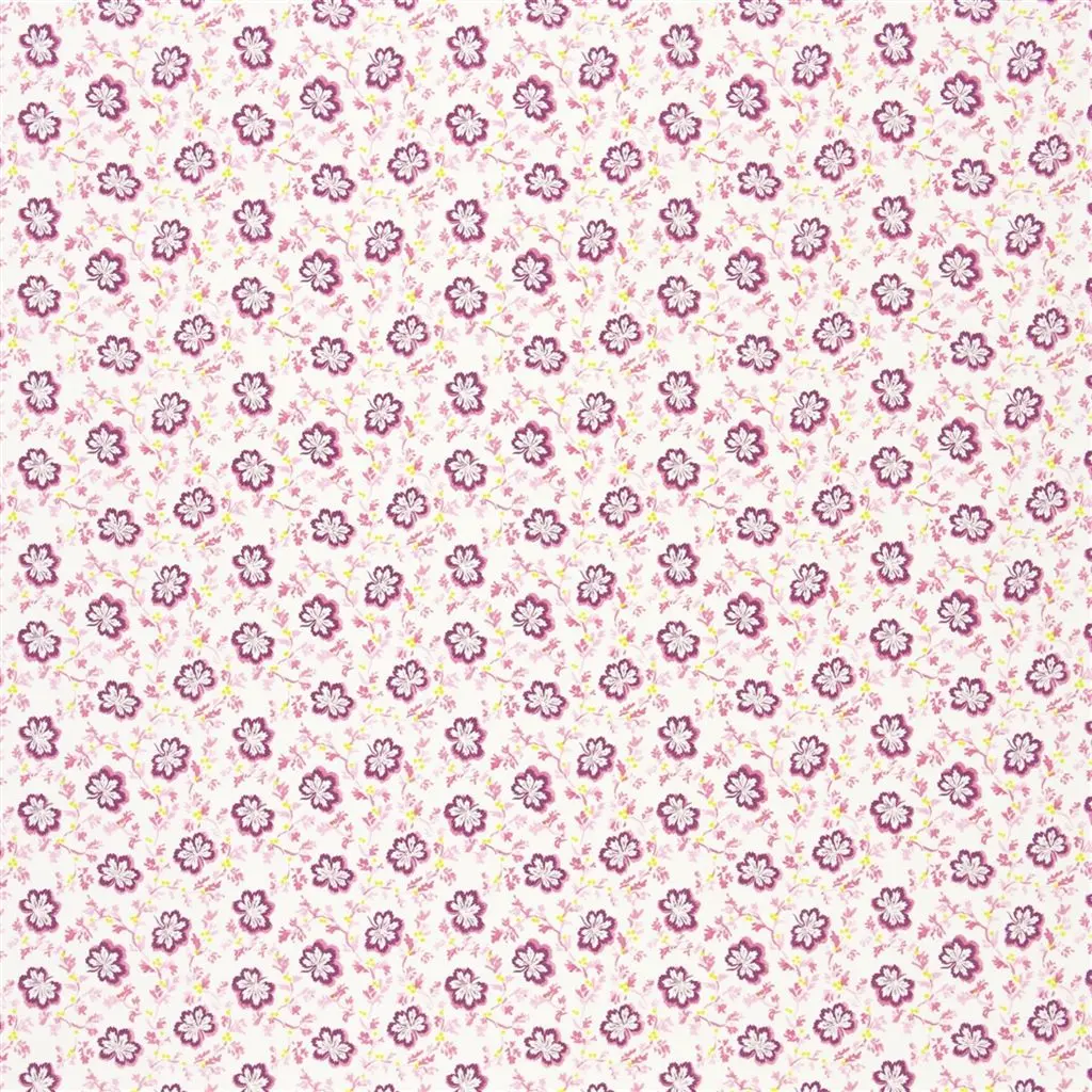 Camomile - Fuchsia Cutting