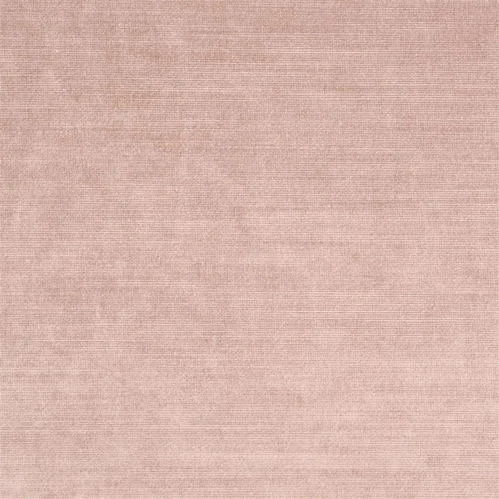 glenville - orchid