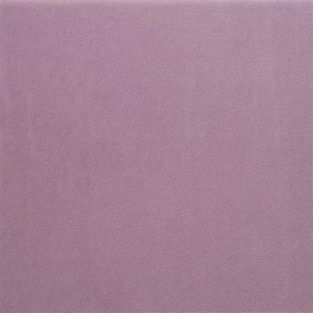 Varese Viola - Cutting
