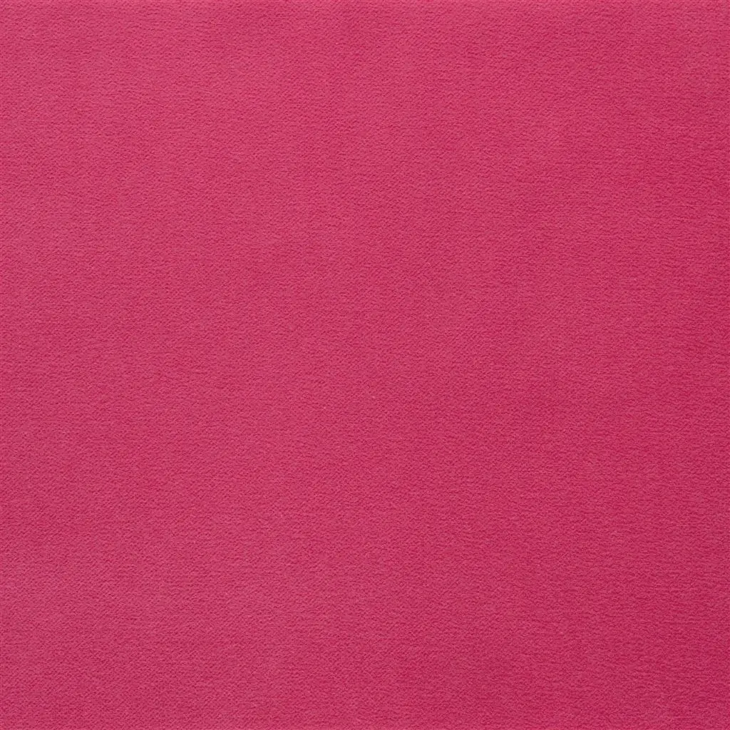 Varese fuchsia - Cutting
