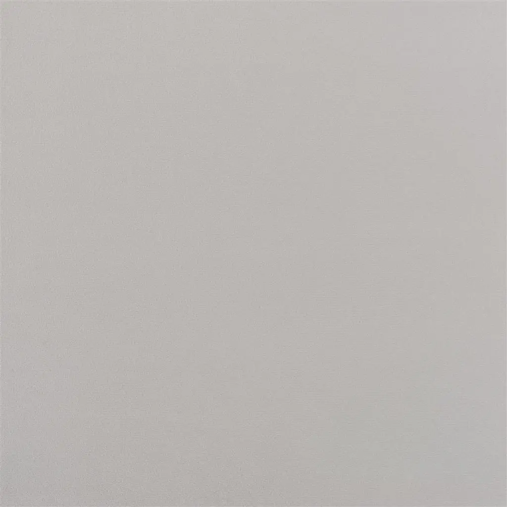 Cameri - Silver Cutting
