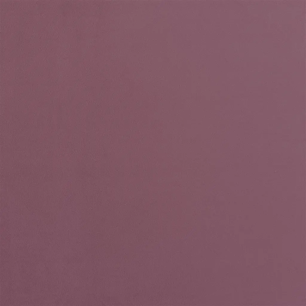 Cameri - Rose Cutting