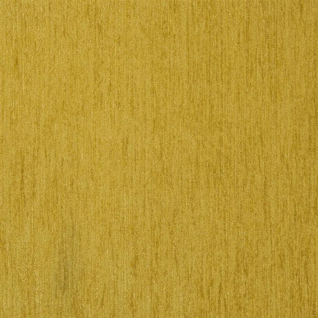 Genova - Gold - Cutting
