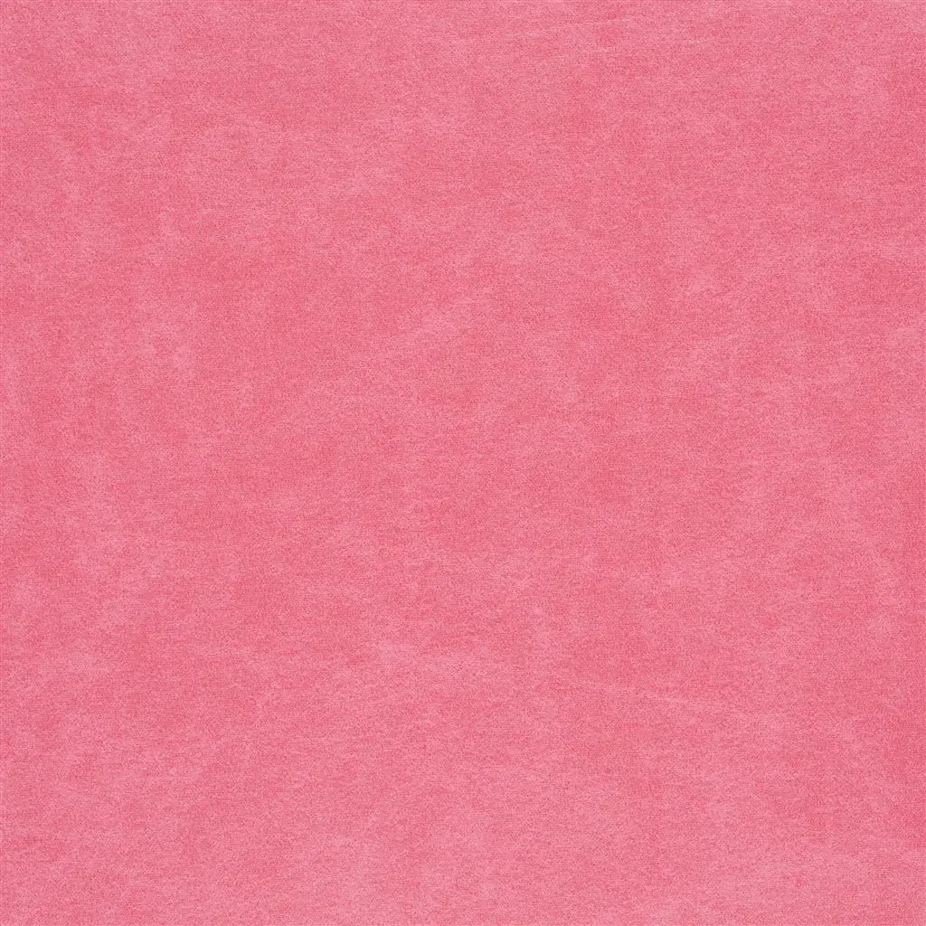 Arizona - Cassis Cutting