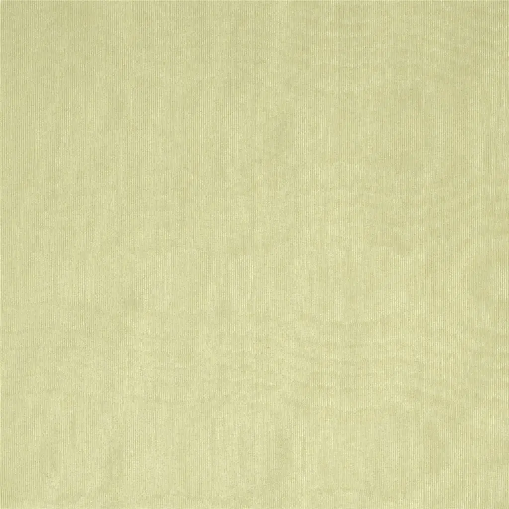 Chinaz - Vanilla - Cutting