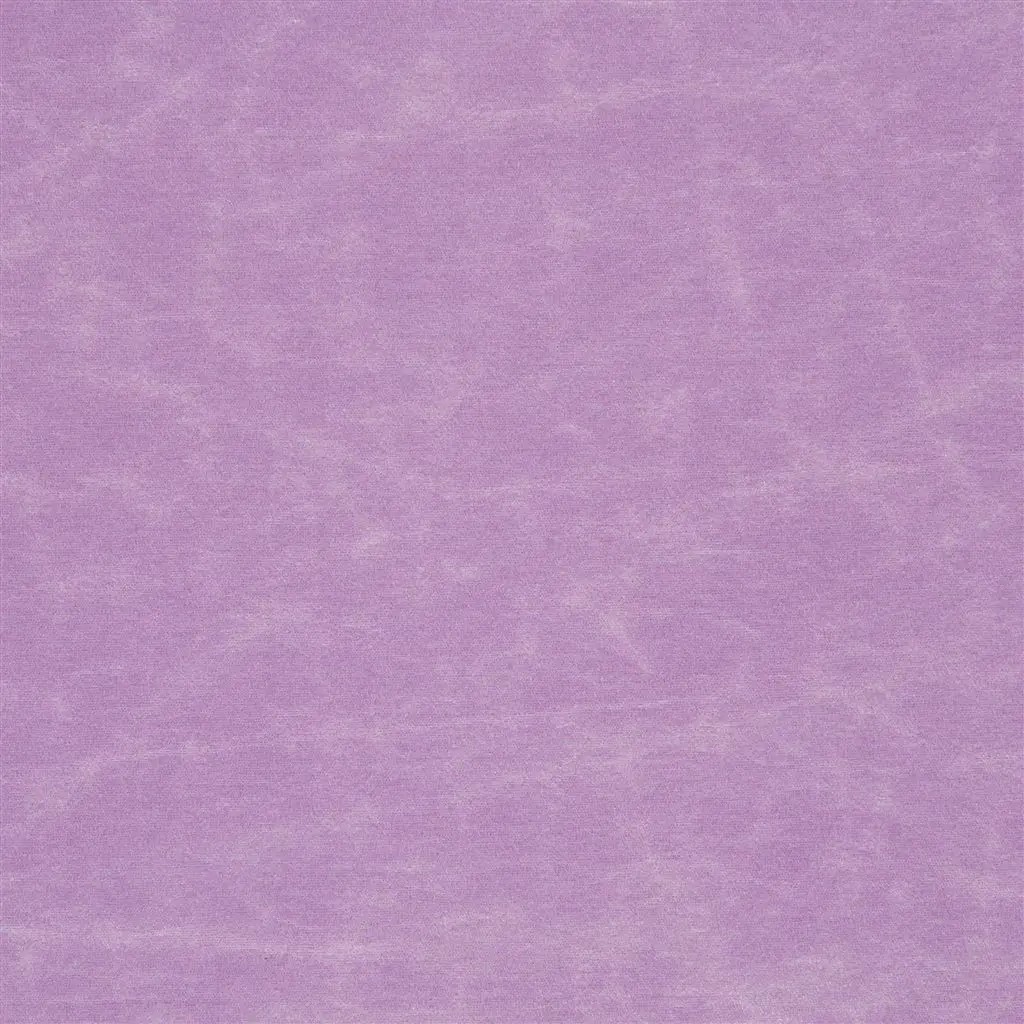 Arizona - Crocus Cutting