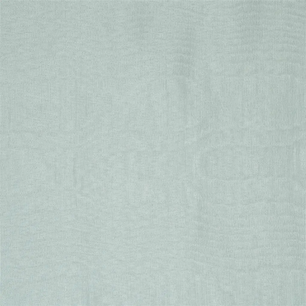 Chinaz - Dove - Cutting