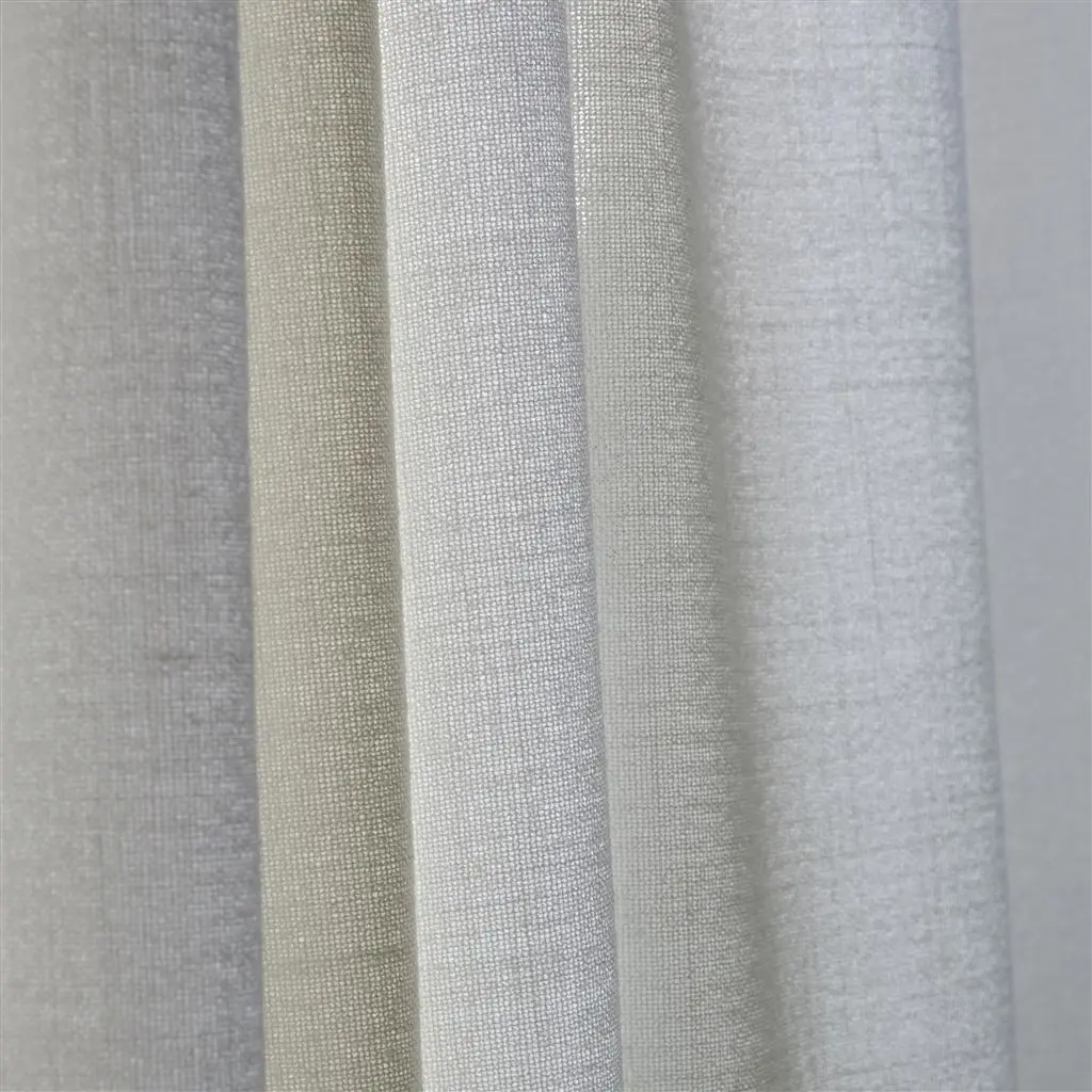 Charollais Birch