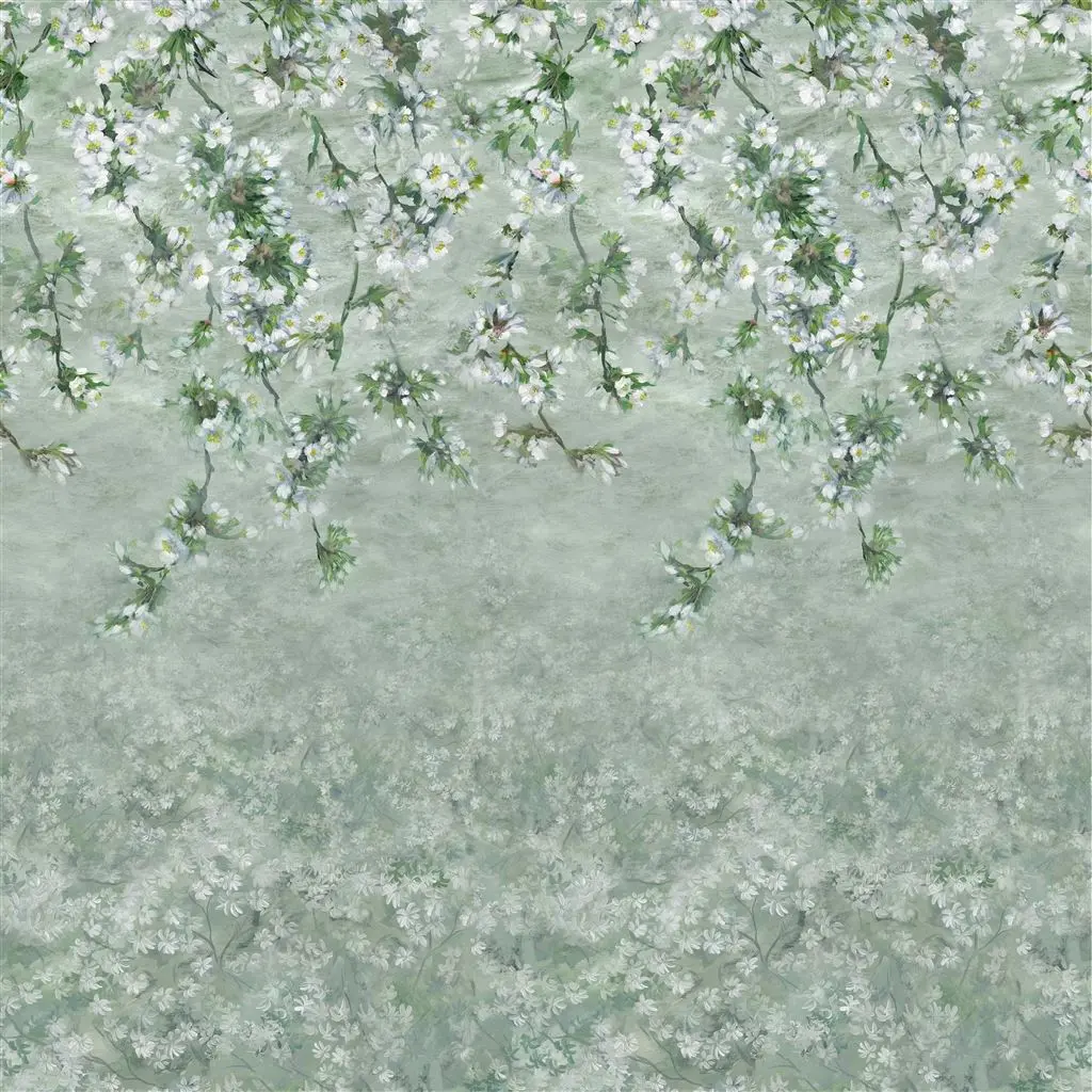 Assam Blossom Sage Cutting