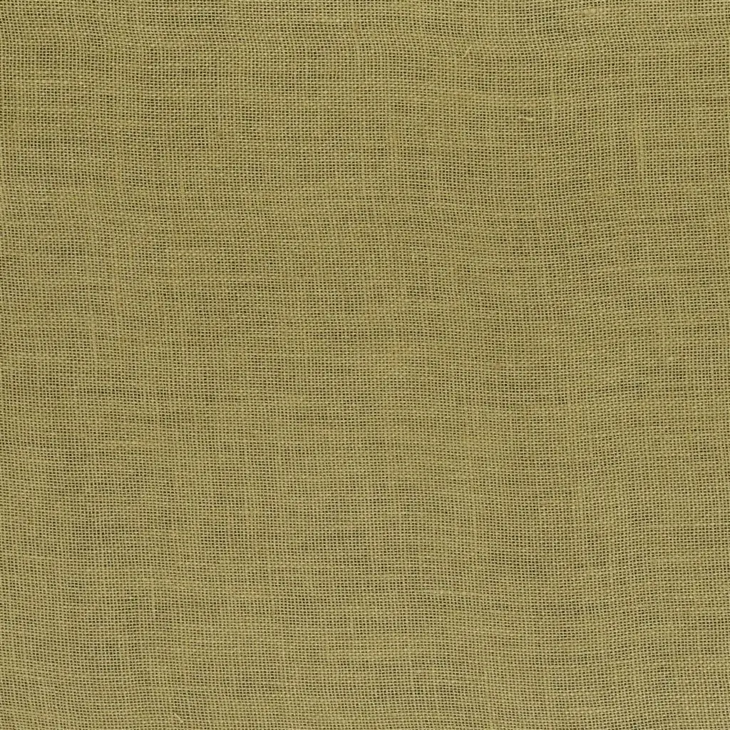 Bassano - Nutmeg Cutting