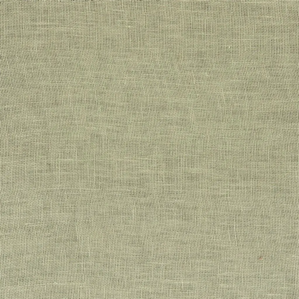 Bassano - Pale Moss Cutting