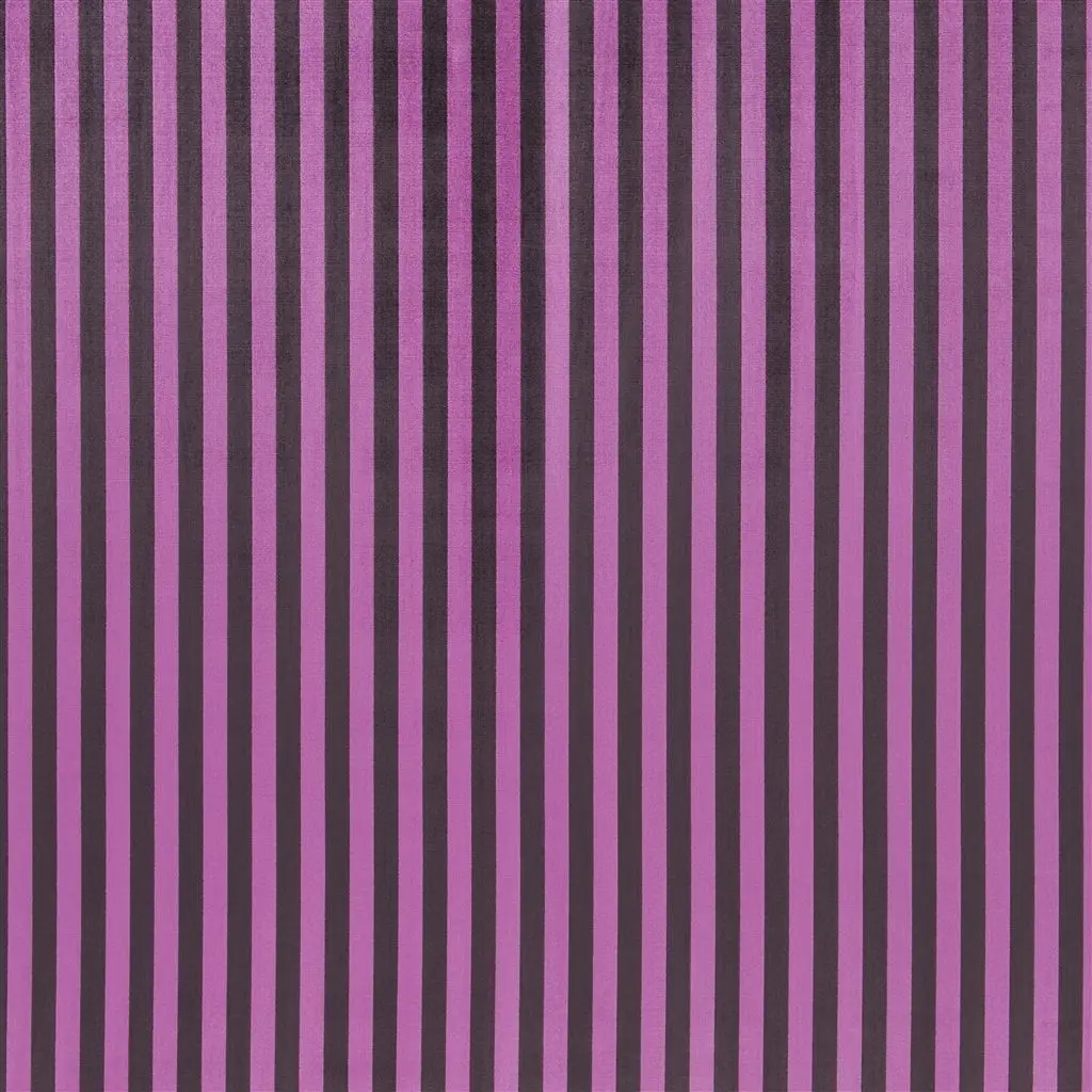 Lazio - Plum Cutting