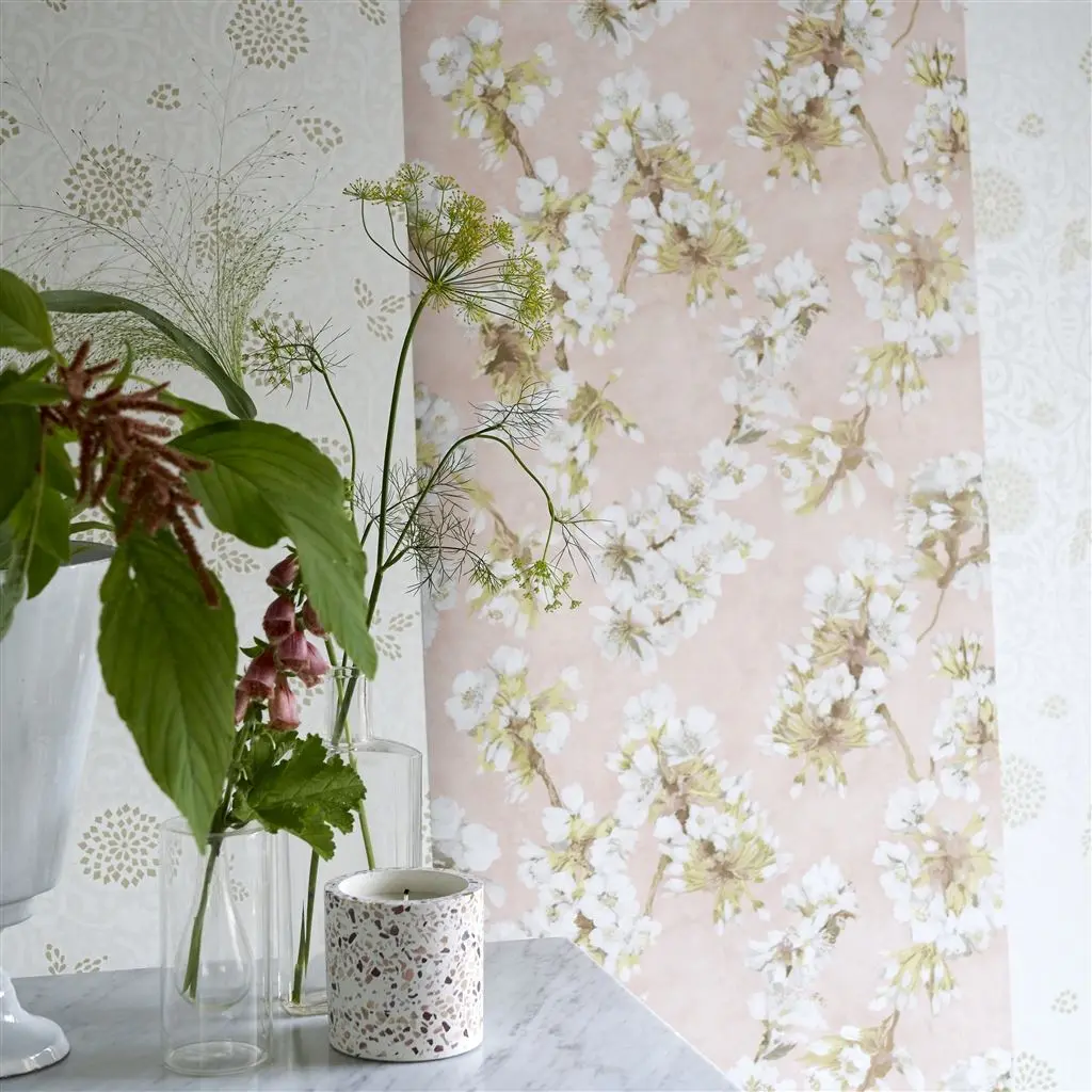 Fleur D Assam Cameo