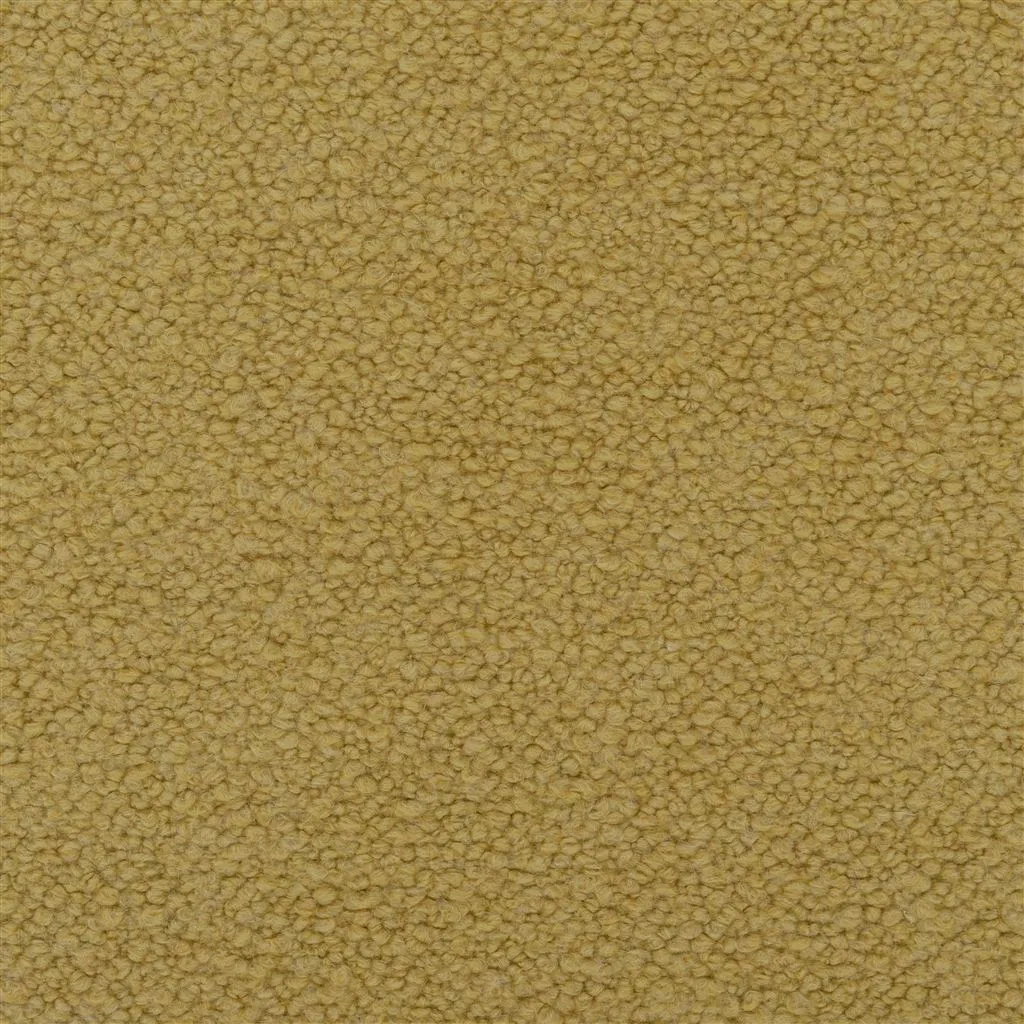 cormo - acacia/ochre tbc