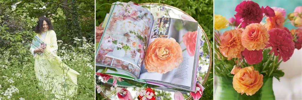 TRICIA GUILD'S BOOKS