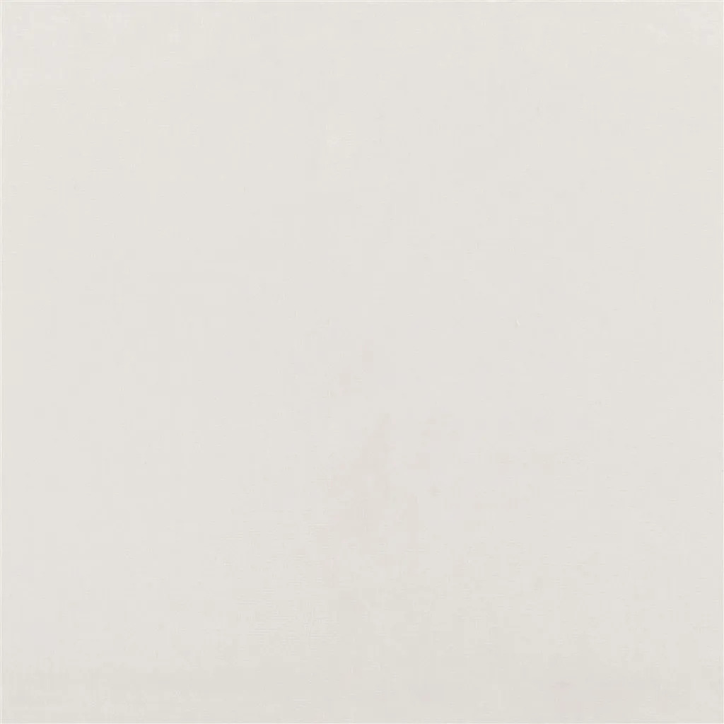 english riding velvet - cream