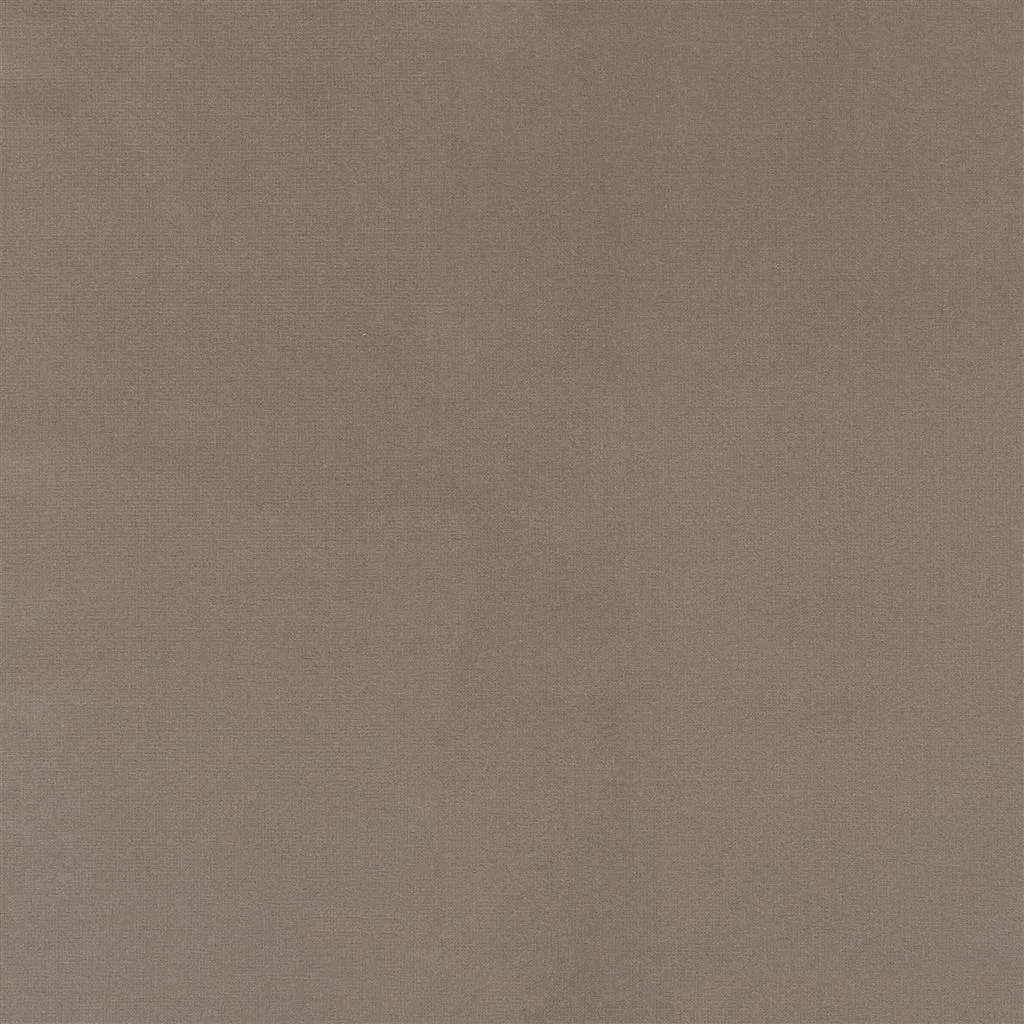 english riding velvet - gray