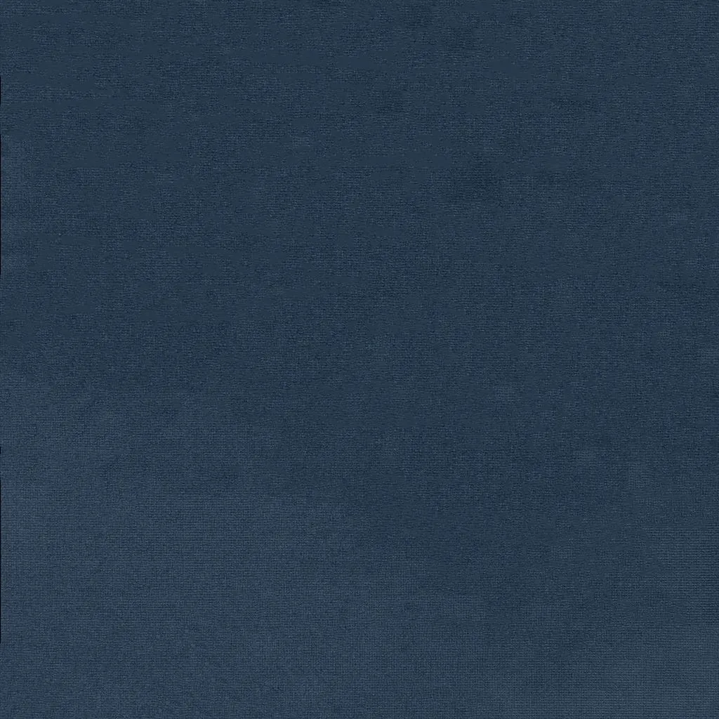 english riding velvet - blue ribbon