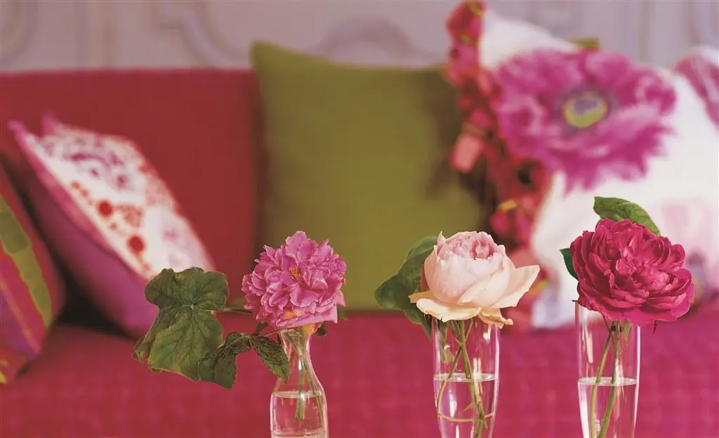 Gran Paradiso Fabrics
