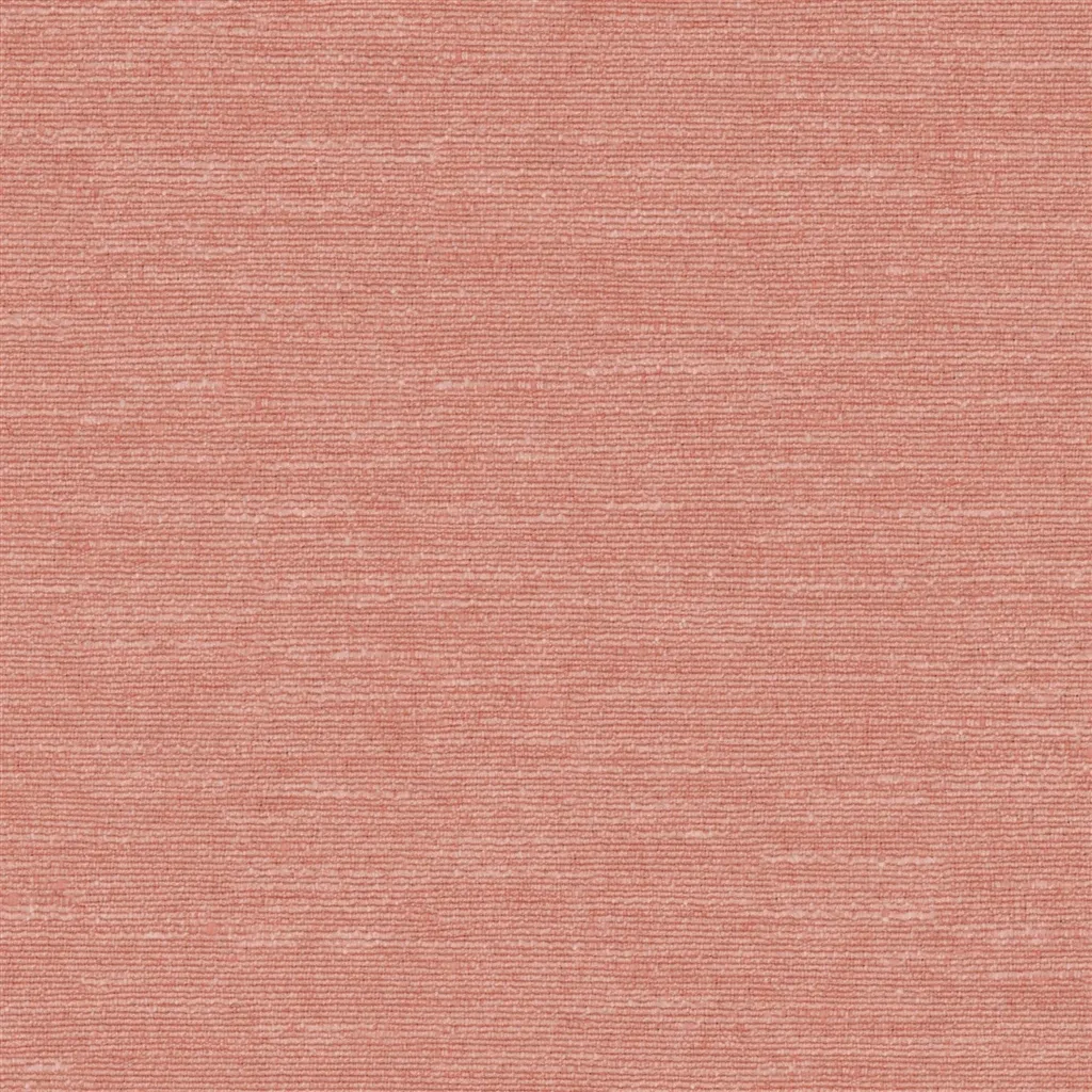 Mirissa - Coral Cutting