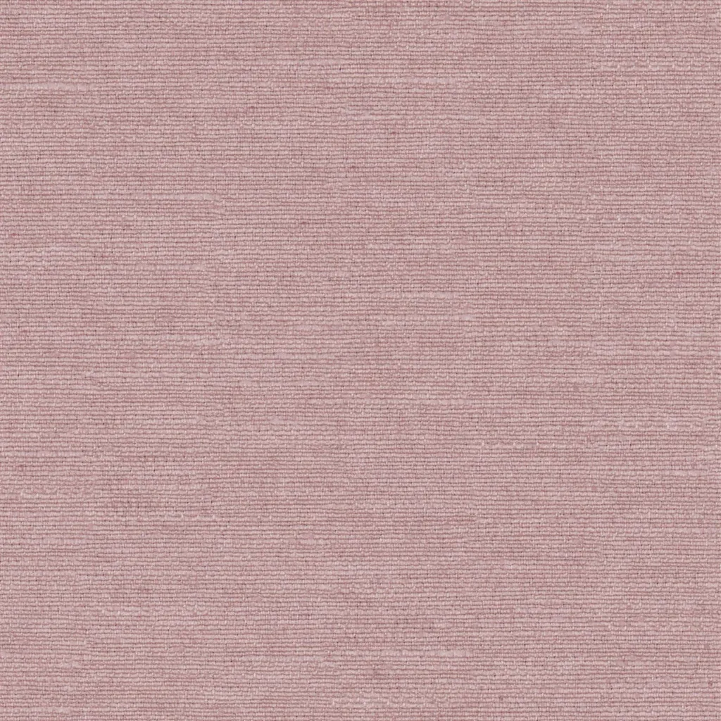 Mirissa - Damask Rose Cutting