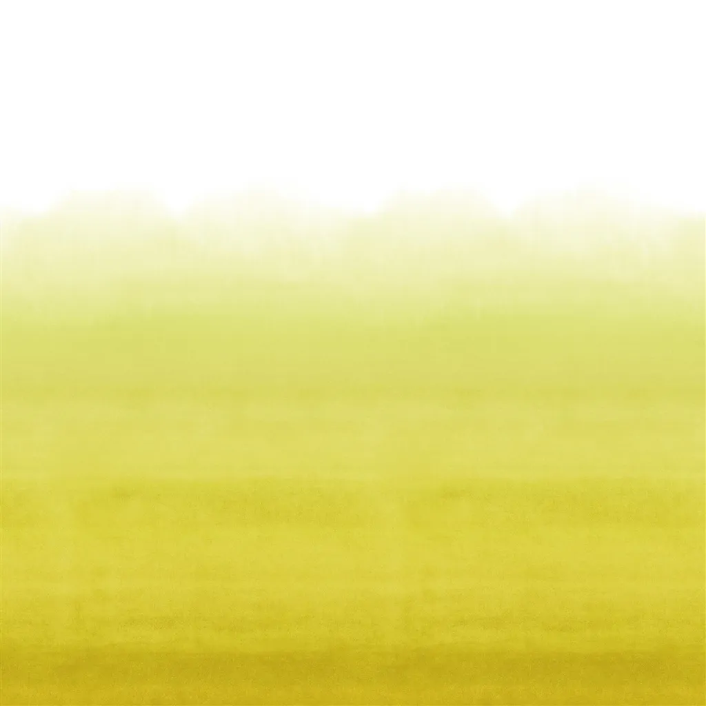 shoshi lemongrass