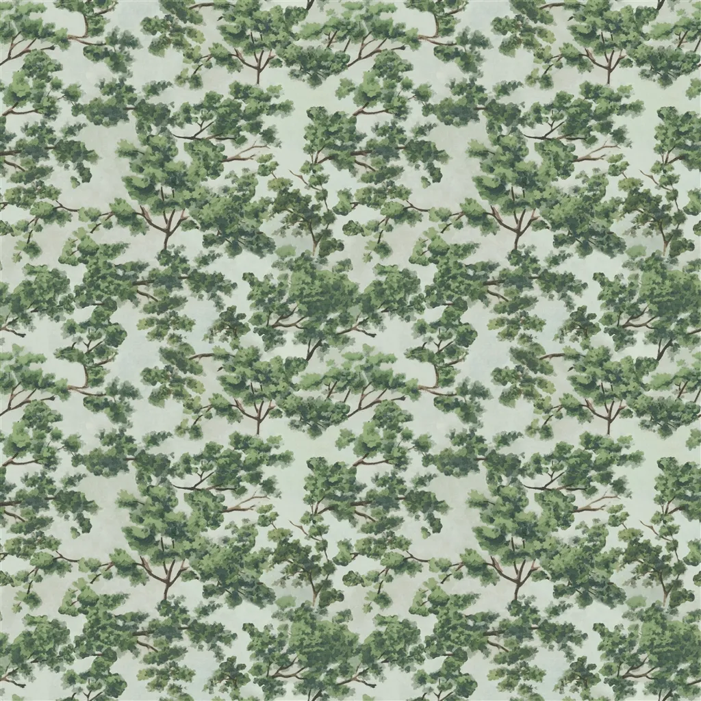 woodland - forest