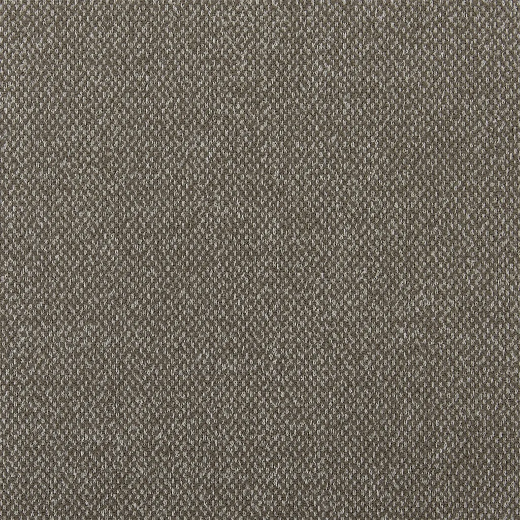 torrington - nutmeg