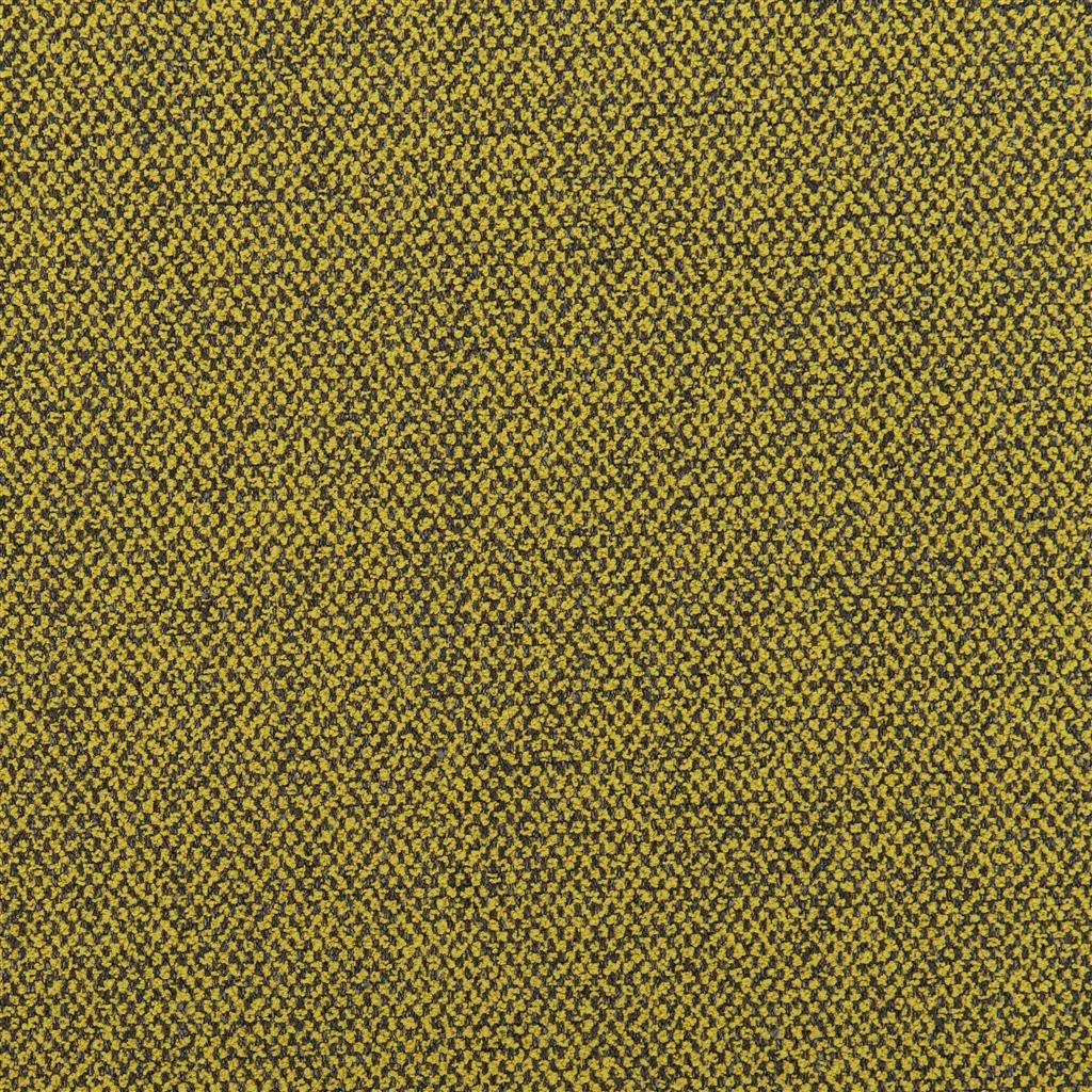 torrington - mustard
