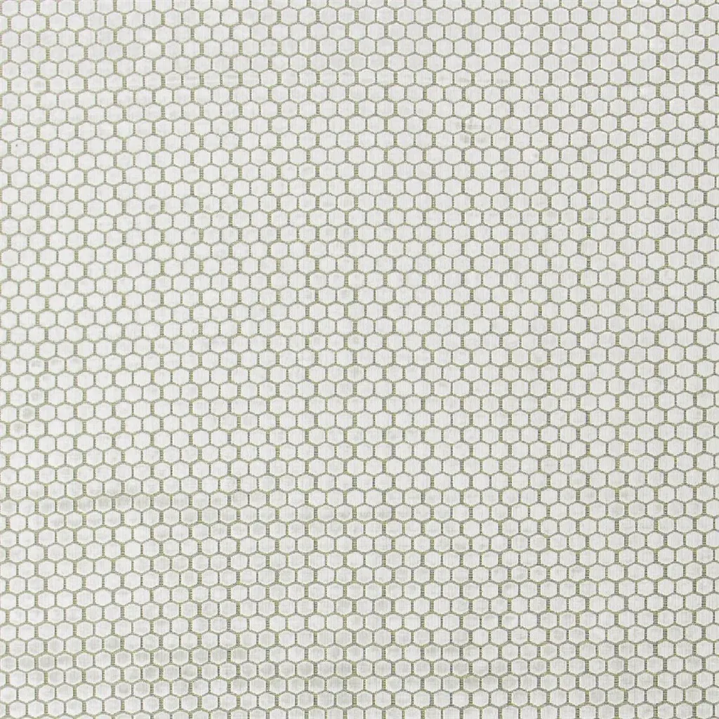 jabot - oyster
