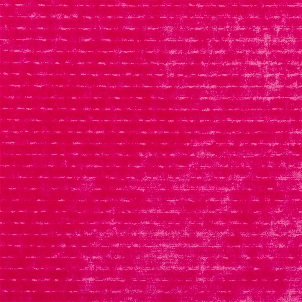 Mazarin - Fuchsia Cutting