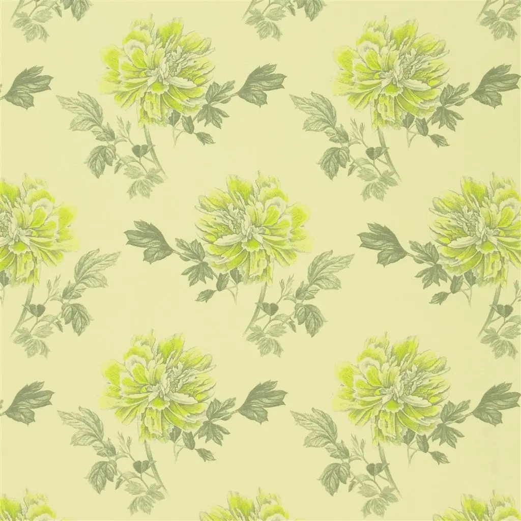 Hiyoku - Acacia Cutting