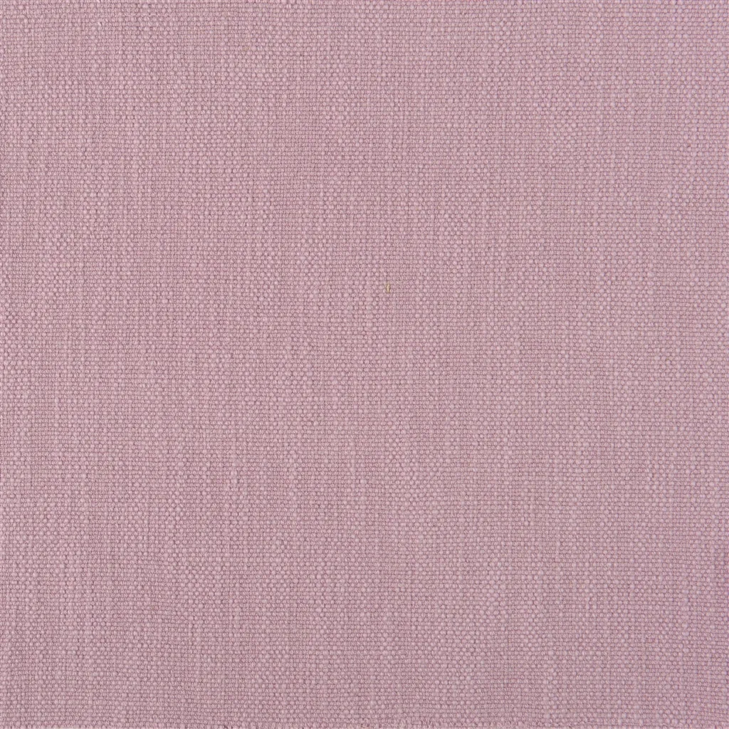tortona - peony